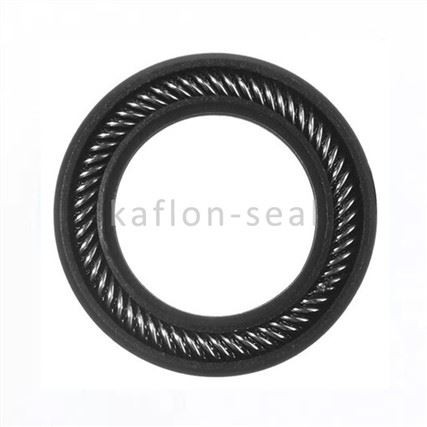 Resistant To Hydrogen Sulfide Spring Seal