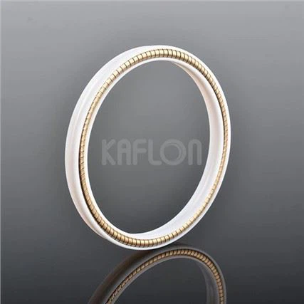 low temperature application TFM Helical Spring Energized Seal
