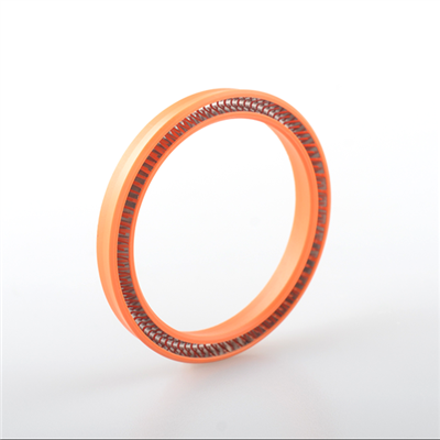 What is Spring Energized Seal?