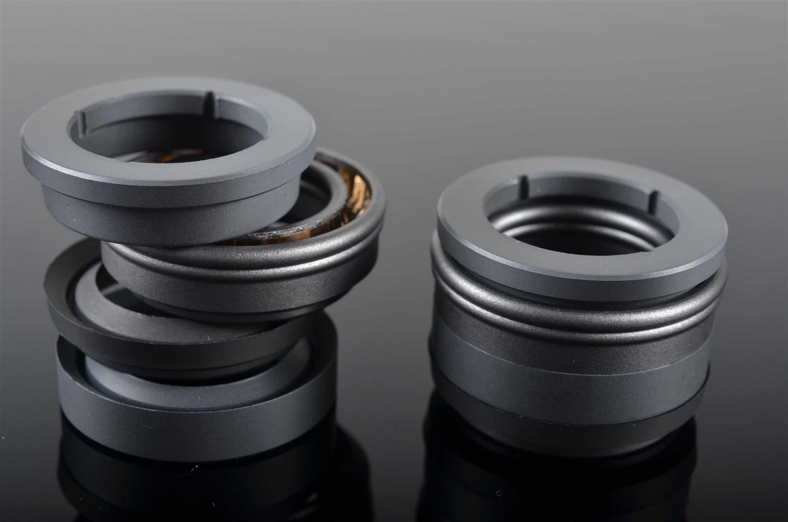 Spring Energized Seal