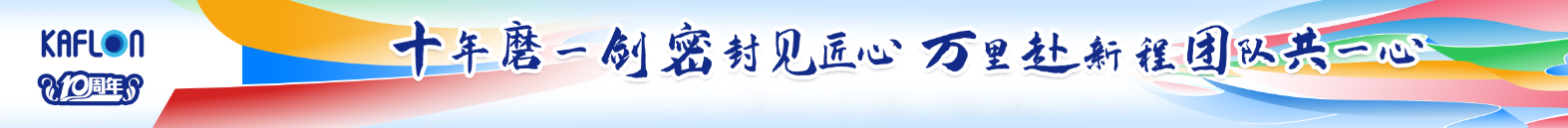 PTFE SPRING ENERGIZED SEAL PTFE SPRING ENERGIZED SEAL