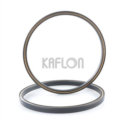 Chemical Resistant Teflon Shaft Seal
