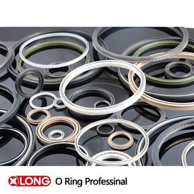 Teflon Spring Energized Seal Rings