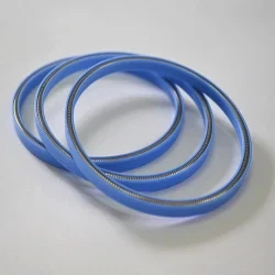 Teflon Spring Energized Seal For Food