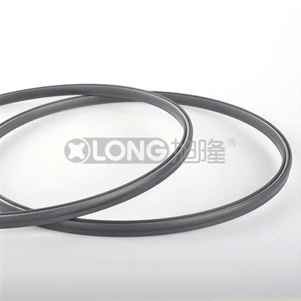 Pumps Spring Energized Seal Teflon Seal